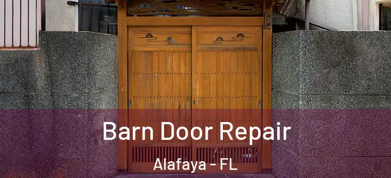  Barn Door Repair Alafaya - FL