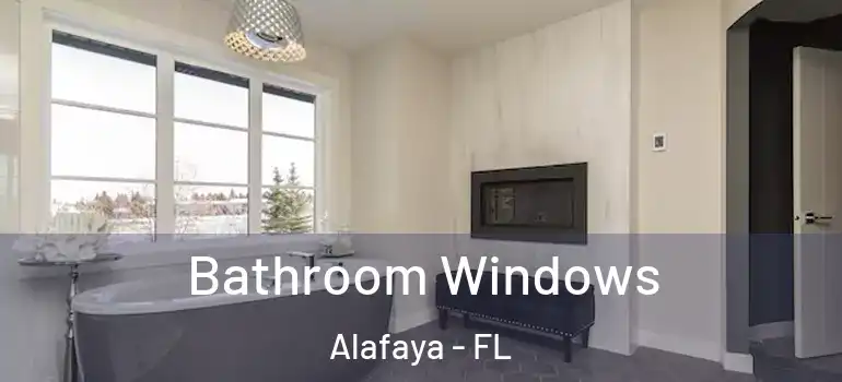  Bathroom Windows Alafaya - FL