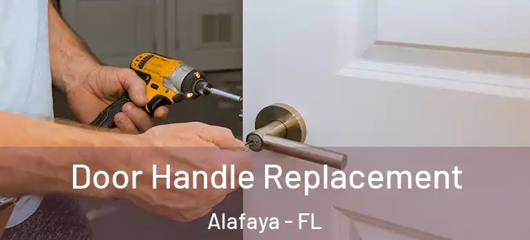  Door Handle Replacement Alafaya - FL