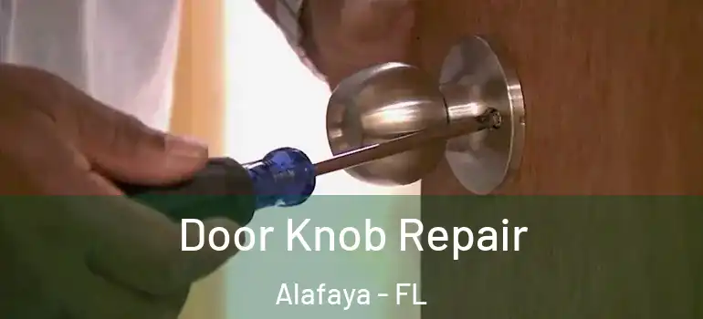  Door Knob Repair Alafaya - FL