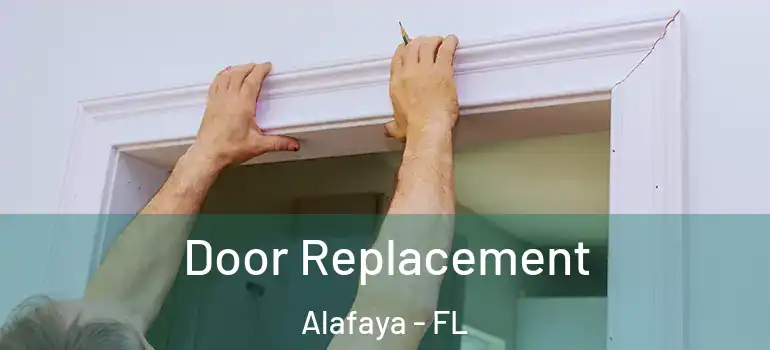  Door Replacement Alafaya - FL