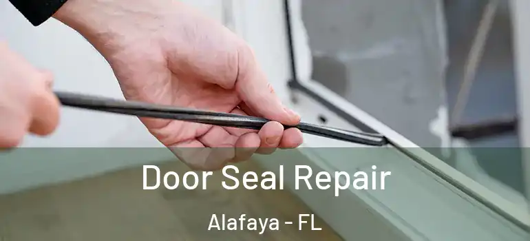  Door Seal Repair Alafaya - FL