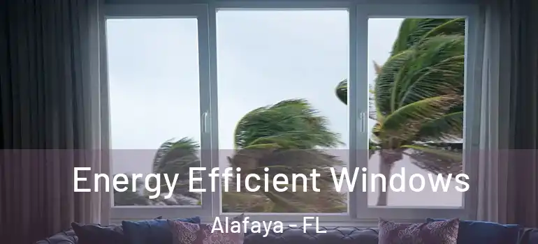  Energy Efficient Windows Alafaya - FL