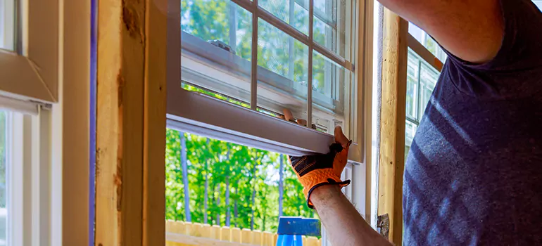 Decorative Window Film Services in Alafaya, FL