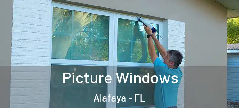  Picture Windows Alafaya - FL