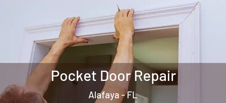  Pocket Door Repair Alafaya - FL