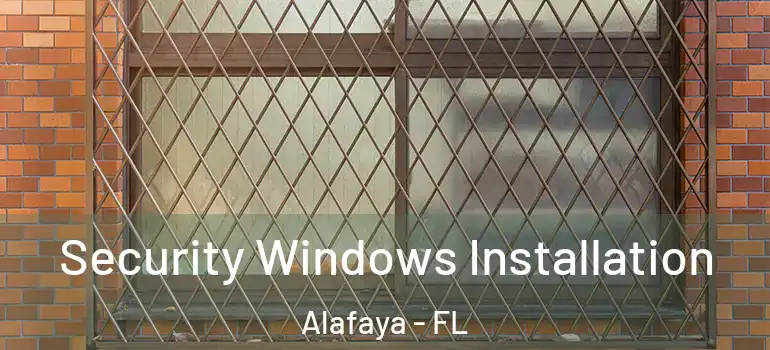  Security Windows Installation Alafaya - FL