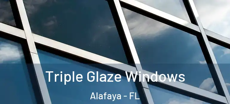  Triple Glaze Windows Alafaya - FL