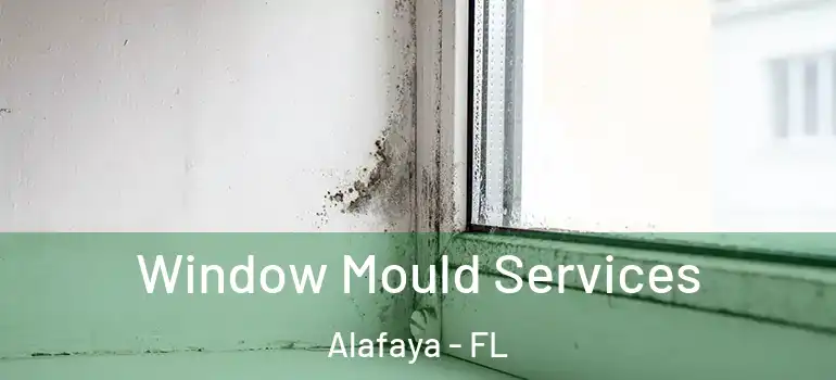  Window Mould Services Alafaya - FL