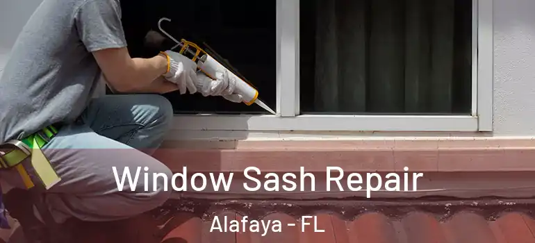  Window Sash Repair Alafaya - FL
