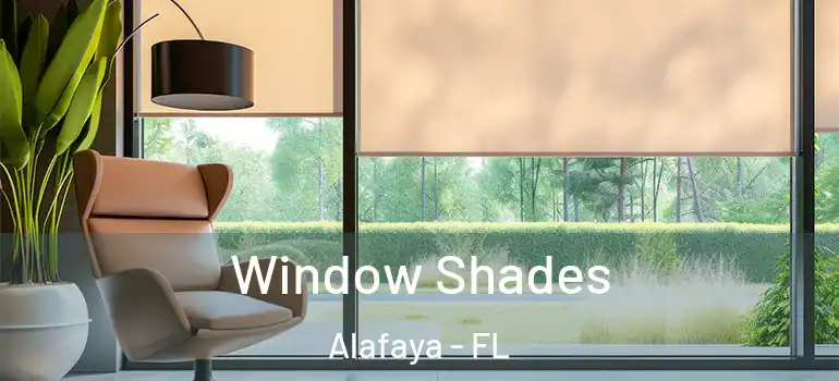  Window Shades Alafaya - FL