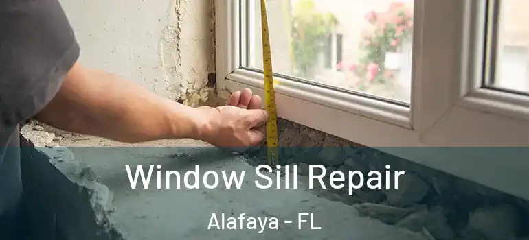  Window Sill Repair Alafaya - FL