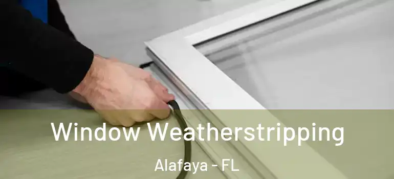  Window Weatherstripping Alafaya - FL