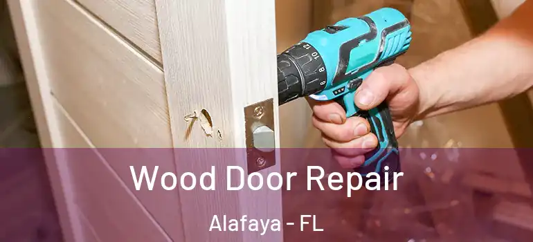  Wood Door Repair Alafaya - FL